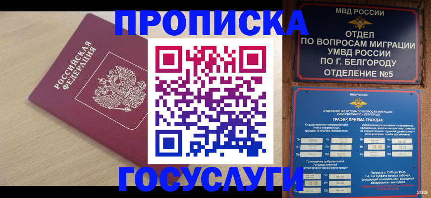 прописка законно в Звенигороде